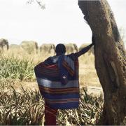 Maasi man watching elephants