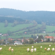 photo of Czech country landscape