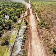 Drone shot of dirt road with forest on one and clear cut tree on other side