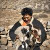 Phurwa and goats