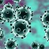 Microscopic image of coronavirus