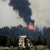 Building near forest on fire