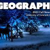 Horses in the snow at night