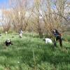 people digging or planting in a grassy field