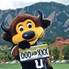 CU Mascot
