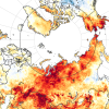 arctic heat map