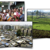 Images of groups of people and landscapes