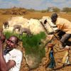 Mosaic of Africa