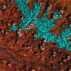 satellite view of snow