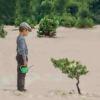boy with watering can in front of small tree