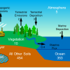 Mercury cycle graphic