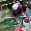 Woman washing material in water