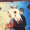 Grafitti on brick wall of native american with a horse