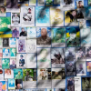 Roll-call of the dead: a tribute to some of the casualties of the 30-month conflict in Ukraine. AP Photo/Tony Hicks