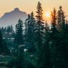 Morning mountain scene with pond and forest