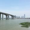 view of bridge over water