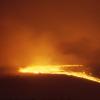 Forest fire
