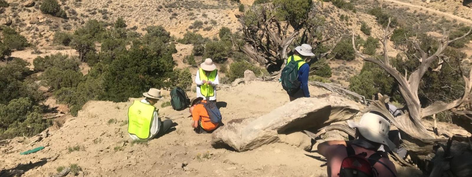 Paleontologists discover Colorado ‘swamp dweller’