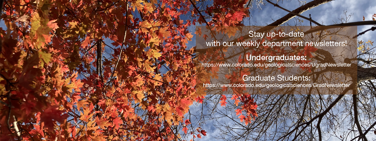 Weekly Newsletters