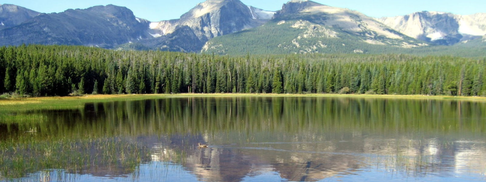 Mountain
