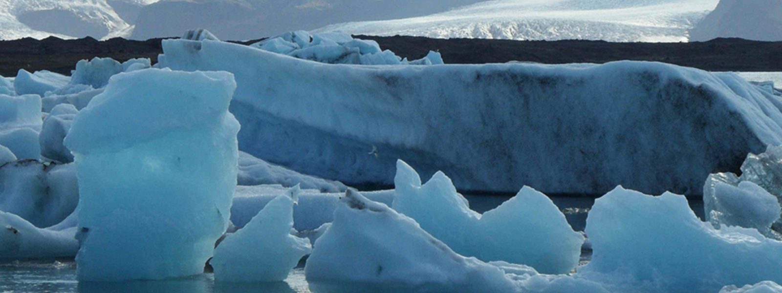 Sea Ice