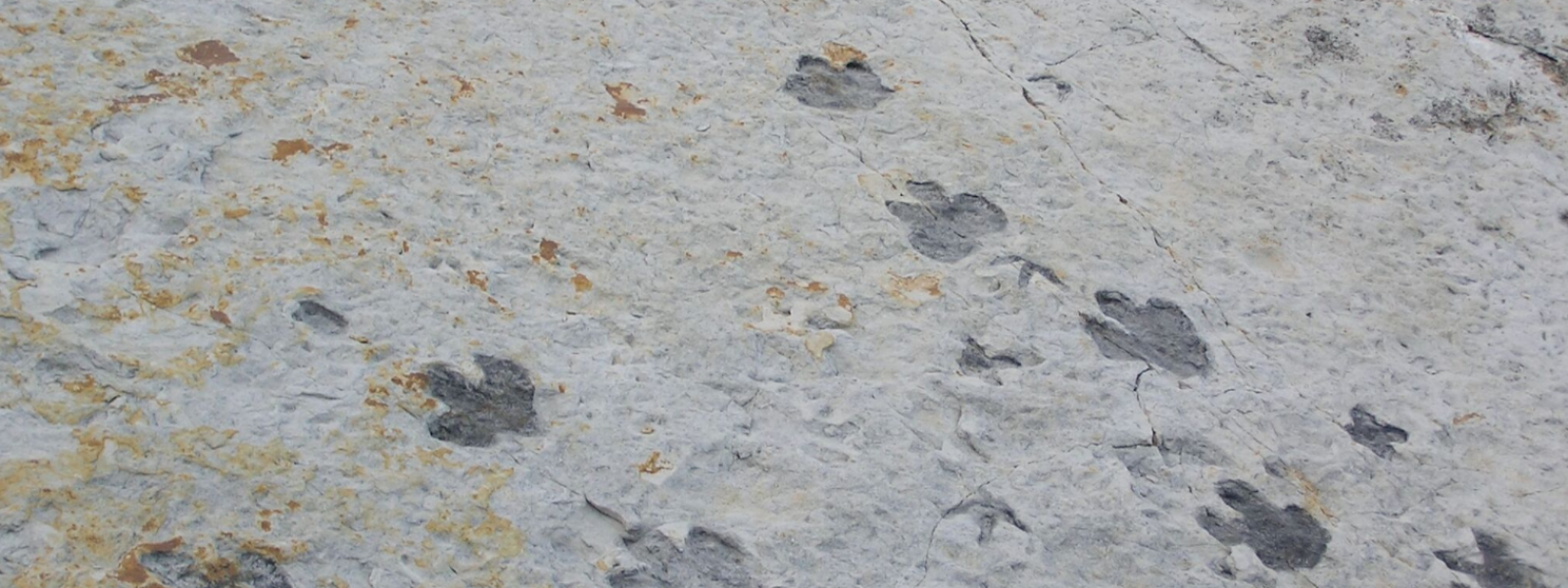 Footprints