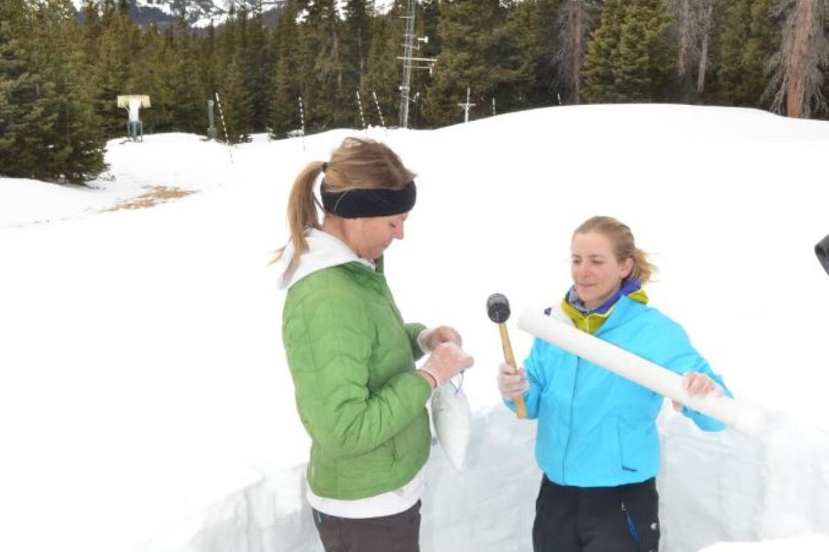 Students researching snow