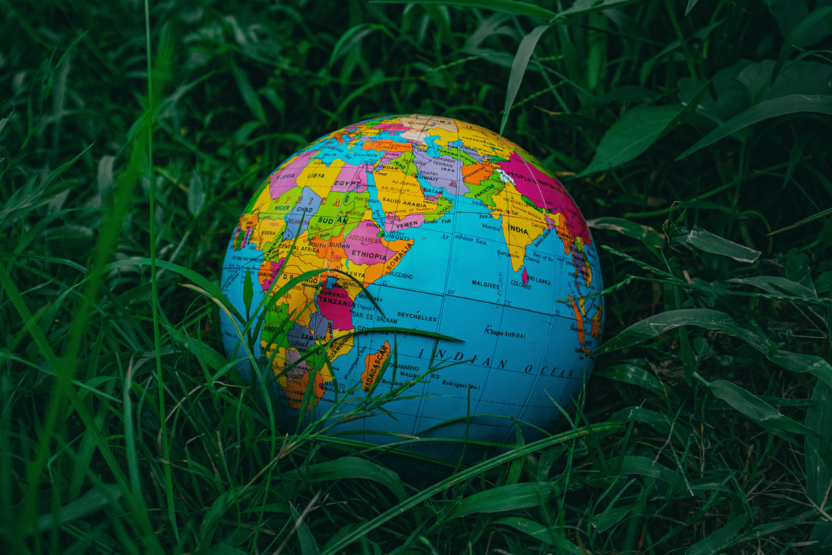 globe in grass