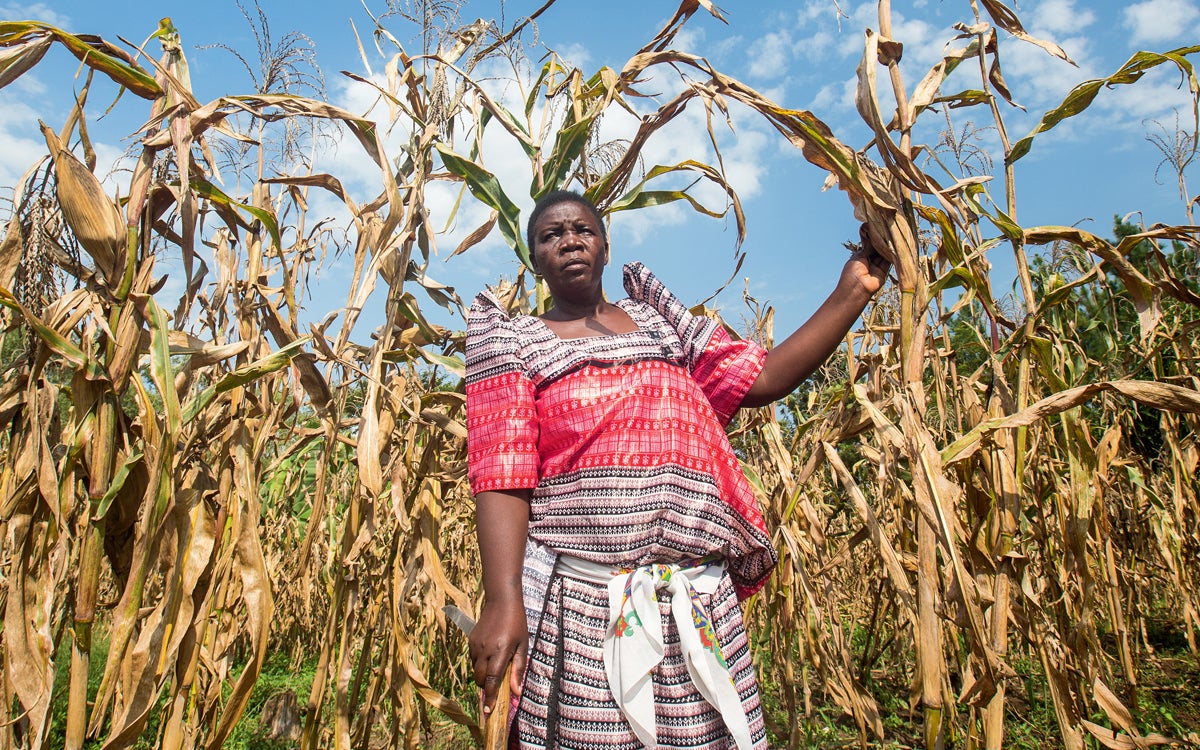 Technology may prevent the worst climate scenarios, but how do we adapt ...
