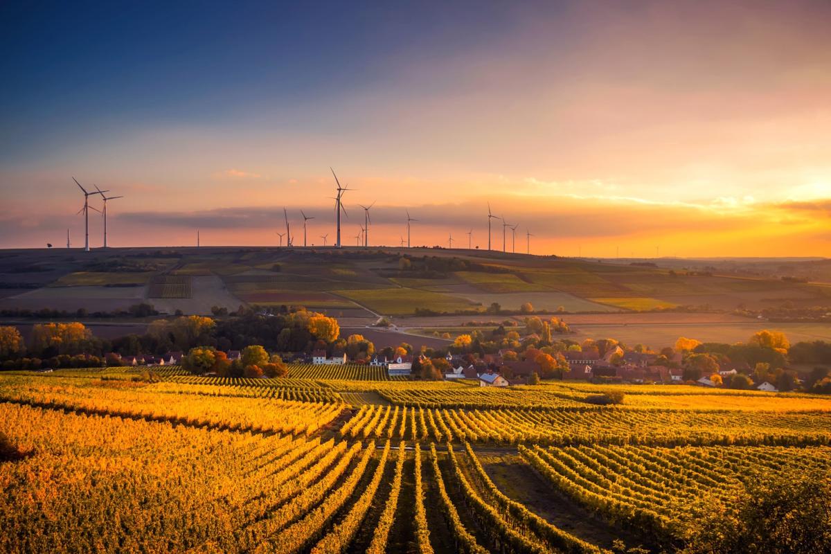 Windmills near agricultural field