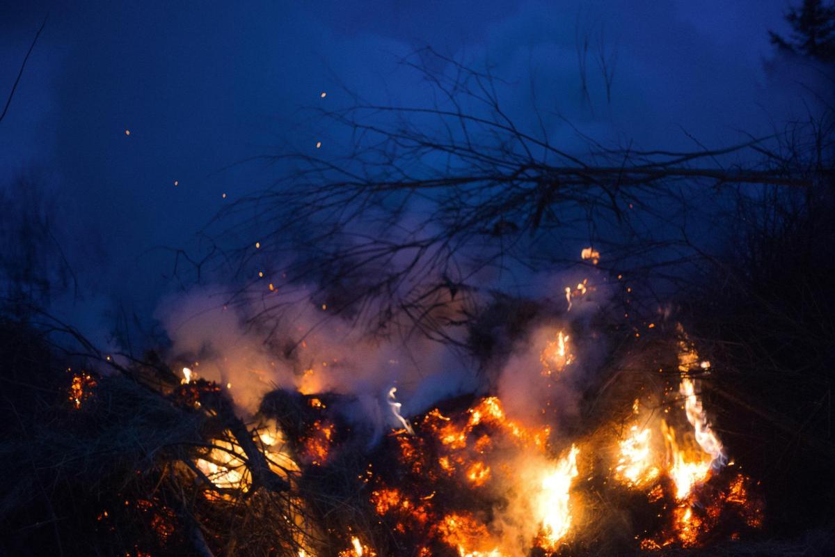 Wildfire