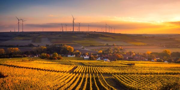 Windmills near agricultural field