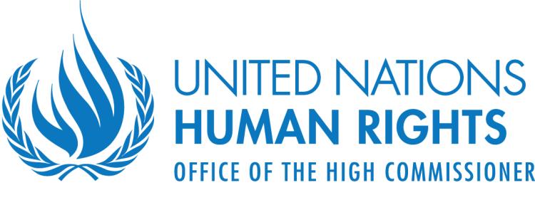 United Nations Human Rights Office of the High Commissioner