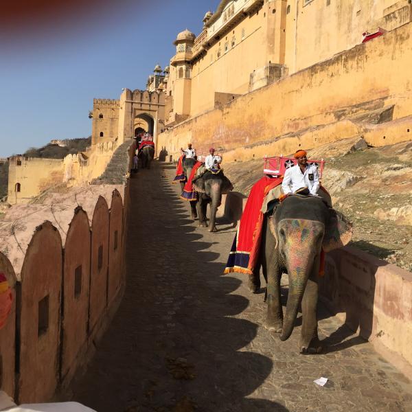 India 2017