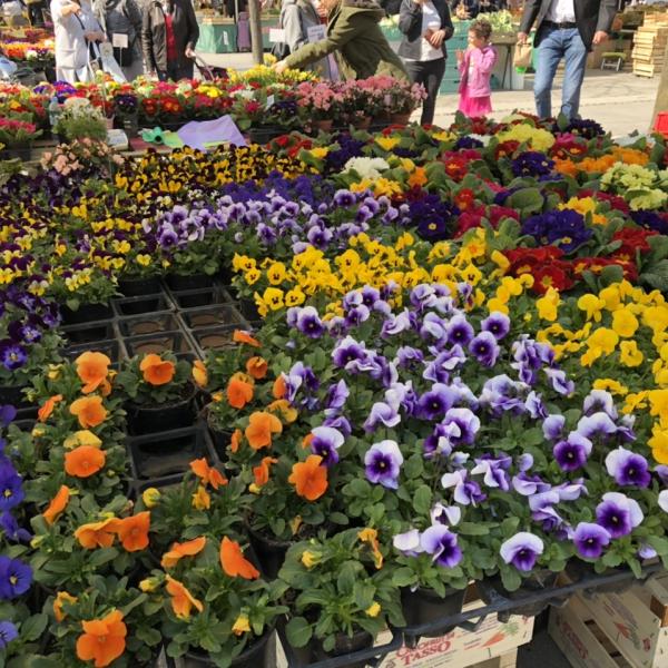 Flowers at the market 