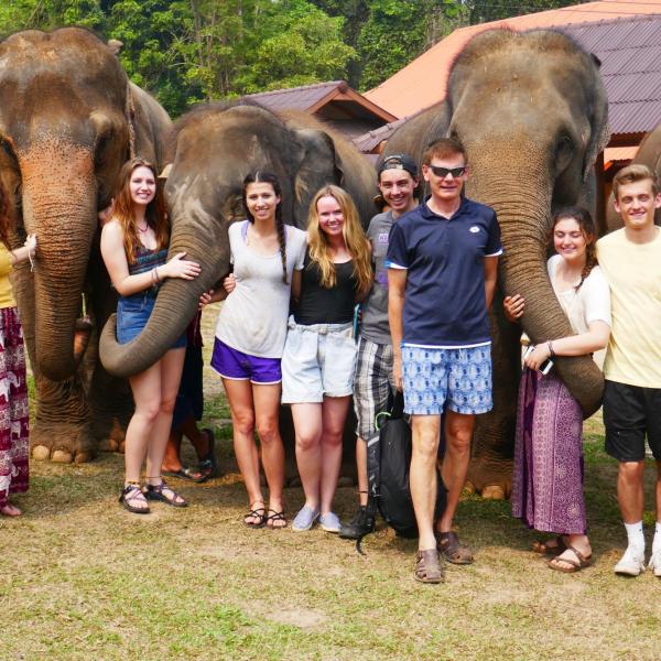 group with elephants