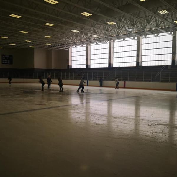 Wide shot of grad students skating