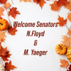 image of fall foliage