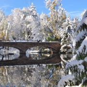 Varsity Bridge on CU Boulder campus