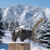 Statue of Ralphie with snowy Flatirons in the background