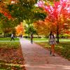 Student walking along the Norlin Quad beneath the changing fall foliage