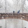 Students walking across Varsity Pond bridge in the snow.