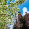 Old Main behind a flowering tree with a blue sky