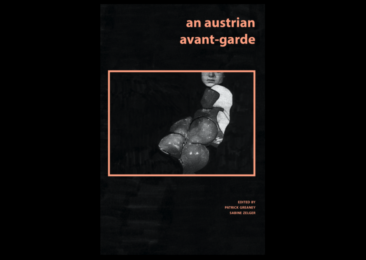 book cover for An Austrian Avant-Garde