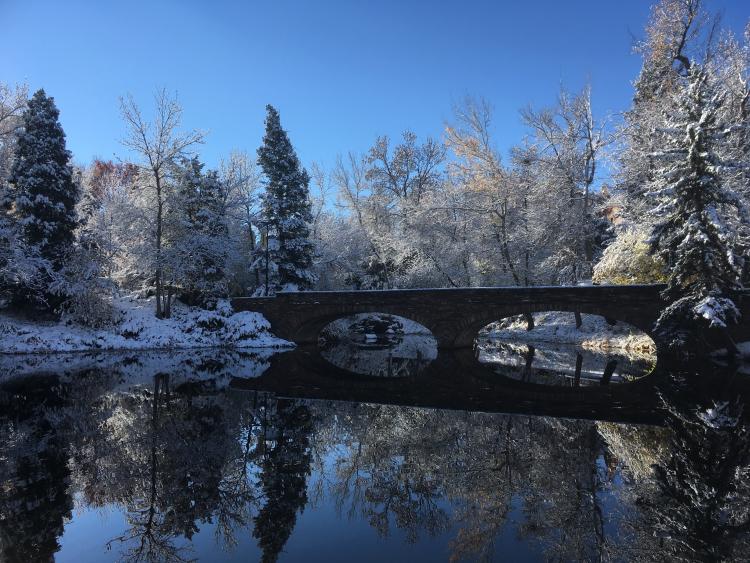 Varsity pond