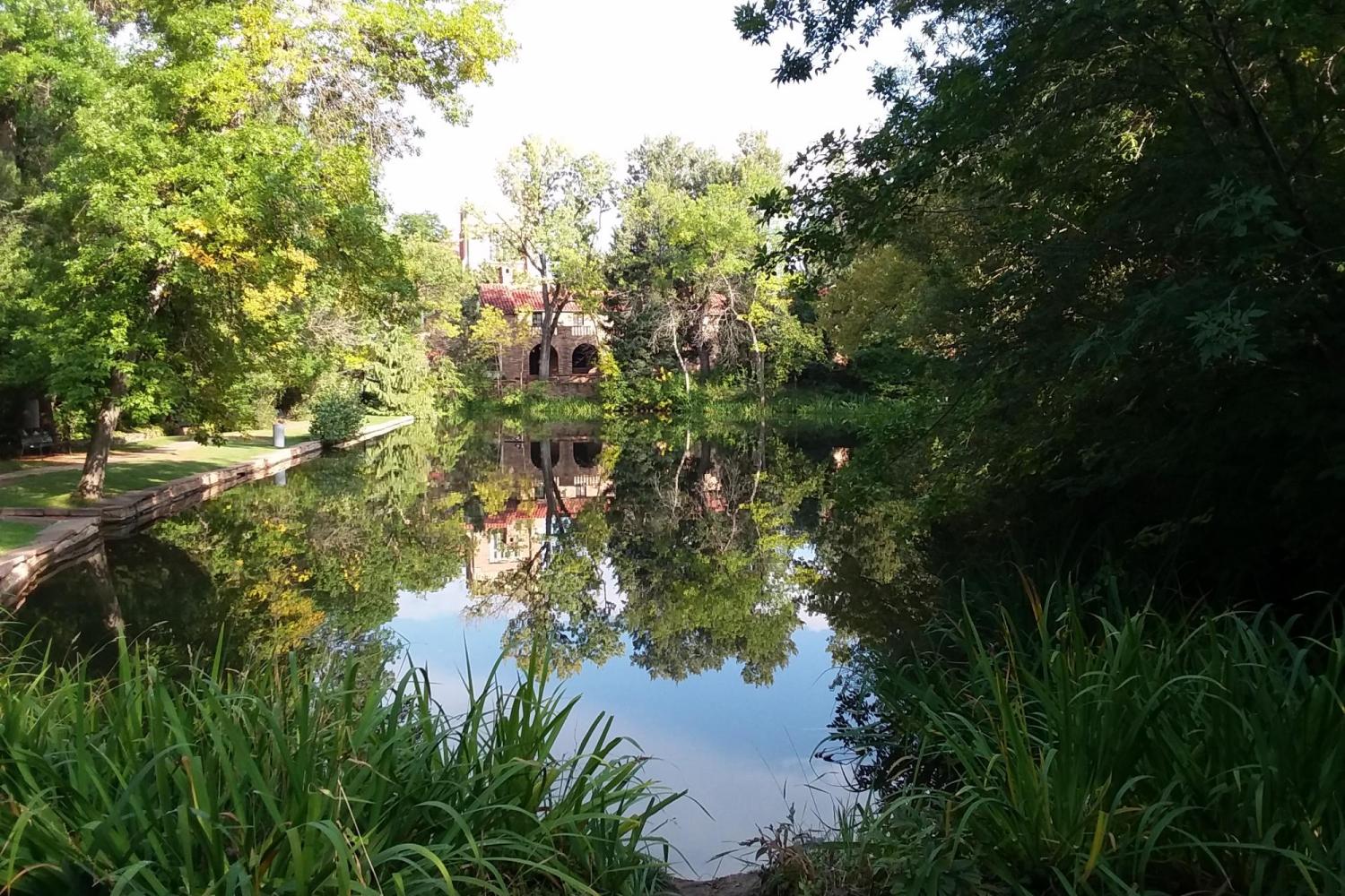 An image of Varsity Pond surrounded by trees and other vegetation, taken from outside the McKenna languages building