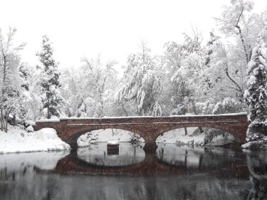 varsity pond