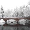 Varsity Bridge
