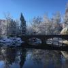 varsity pond