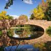 bridge over Varsity pond
